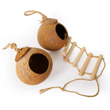 Load image into Gallery viewer, Natural coconut shell bird nest