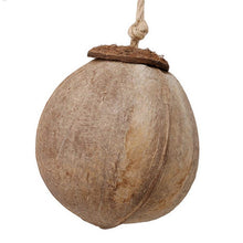 Load image into Gallery viewer, Natural coconut shell bird nest